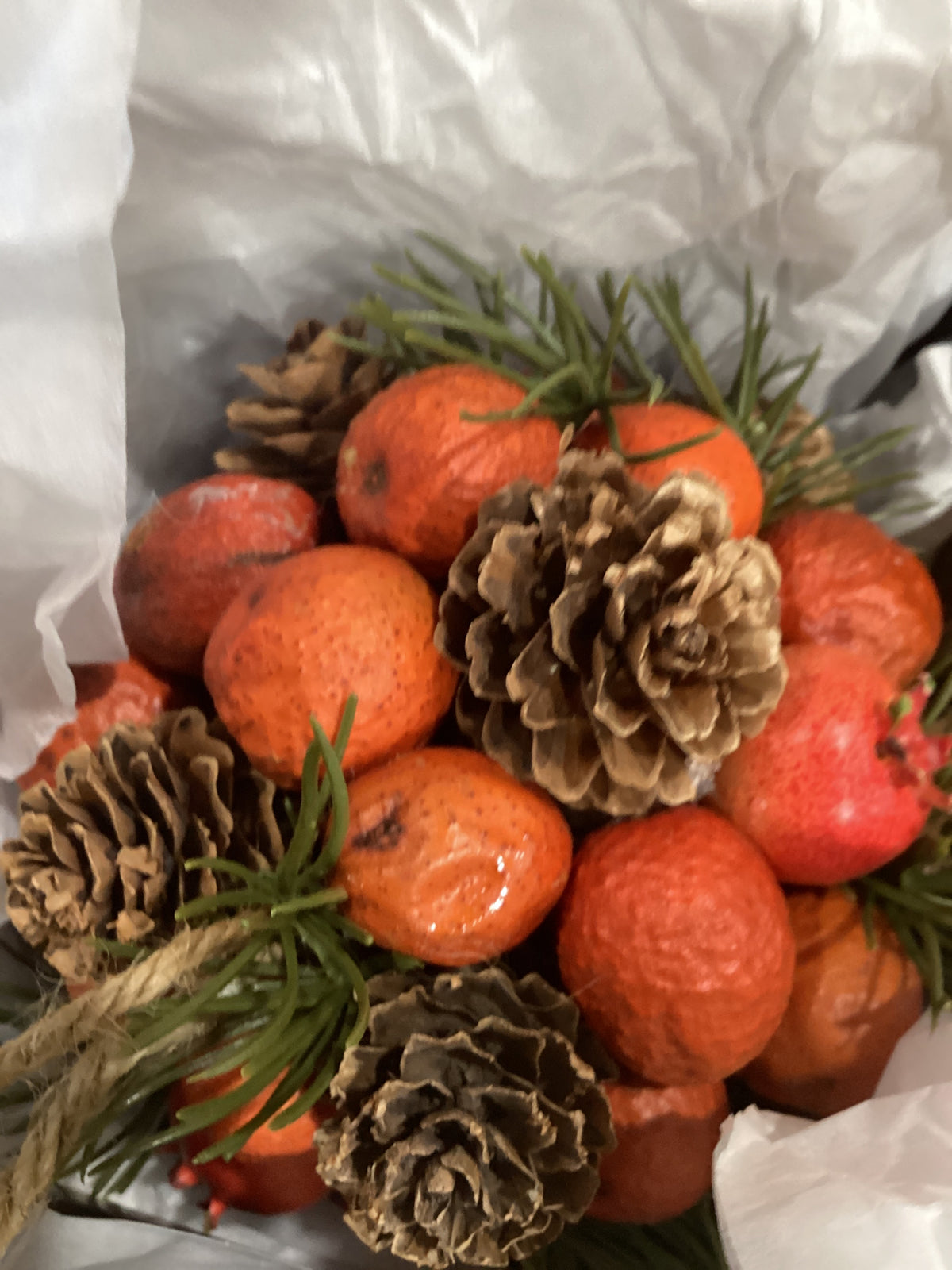 Orange Pods Pinecones & Pine Rounds Ornaments